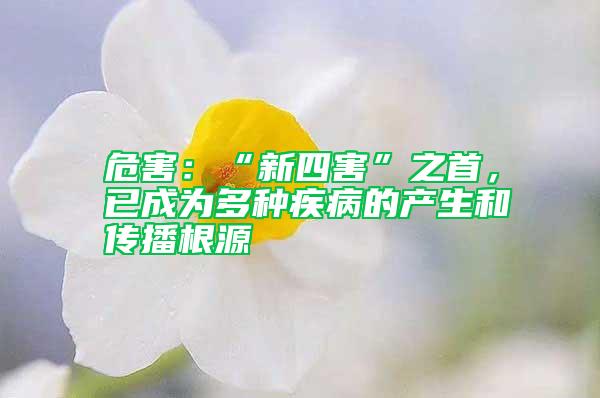 危害：“新四害”之首，已成為多種疾病的產(chǎn)生和傳播根源