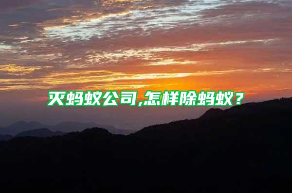 滅螞蟻公司,怎樣除螞蟻?