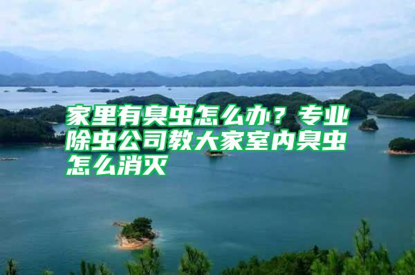 家里有臭蟲怎么辦？專業除蟲公司教大家室內臭蟲怎么消滅