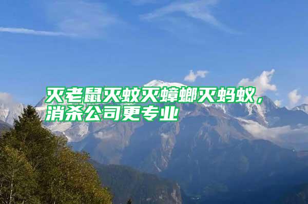 滅老鼠滅蚊滅蟑螂滅螞蟻，消殺公司更專業(yè)