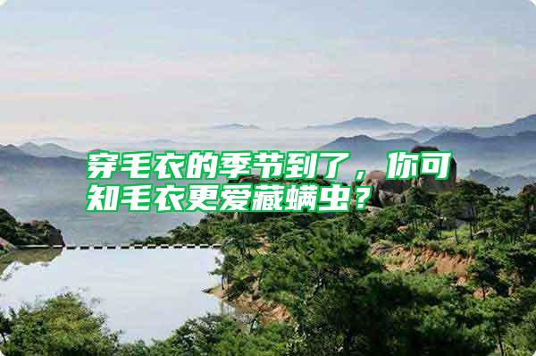 穿毛衣的季節到了，你可知毛衣更愛藏螨蟲？