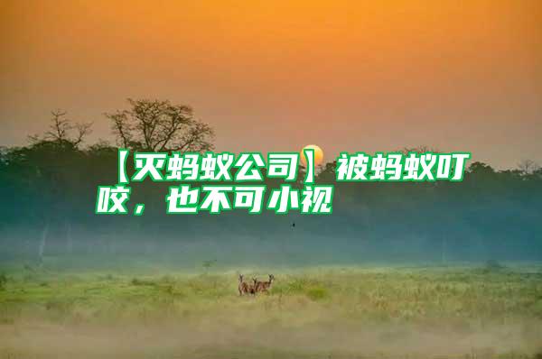 【滅螞蟻公司】被螞蟻叮咬，也不可小視