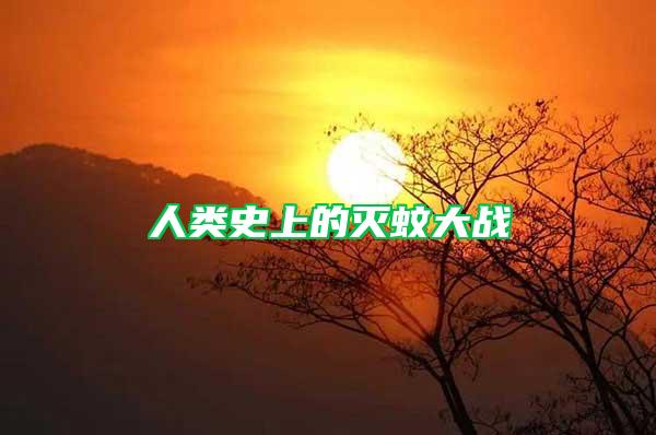 人類史上的滅蚊大戰(zhàn)