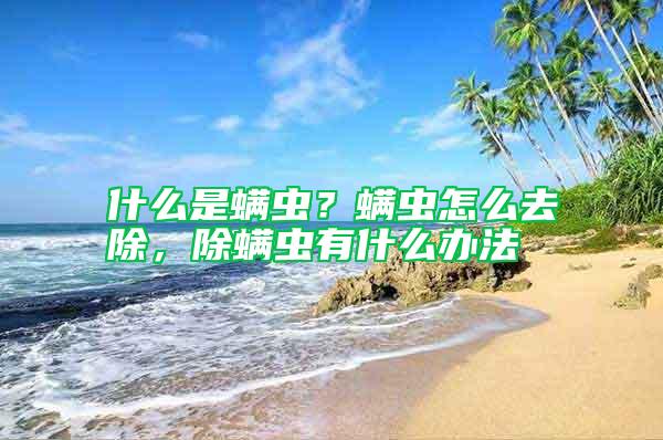 什么是螨蟲？螨蟲怎么去除，除螨蟲有什么辦法