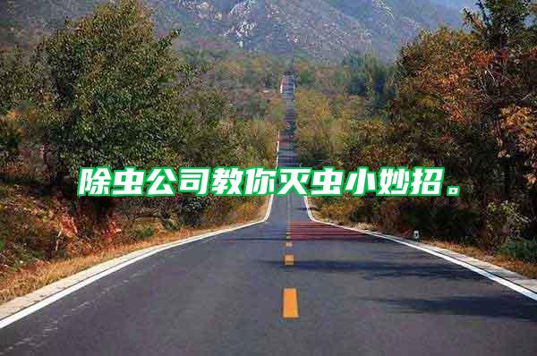 除蟲公司教你滅蟲小妙招。