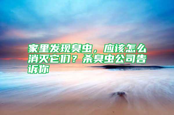 家里發(fā)現(xiàn)臭蟲，應(yīng)該怎么消滅它們？殺臭蟲公司告訴你