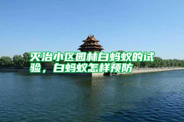 滅治小區(qū)園林白螞蟻的試驗，白螞蟻怎樣預(yù)防
