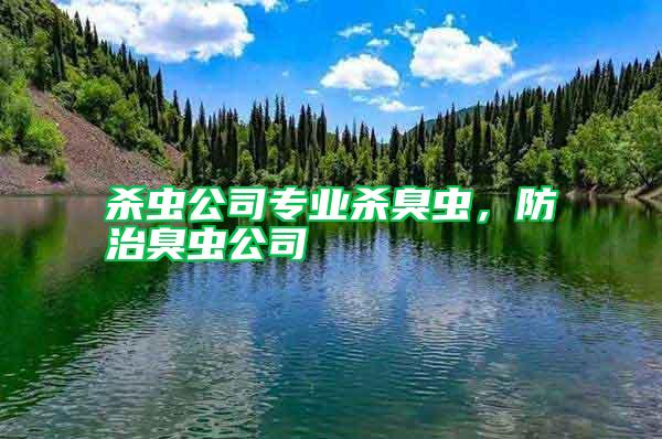 殺蟲(chóng)公司專業(yè)殺臭蟲(chóng)，防治臭蟲(chóng)公司