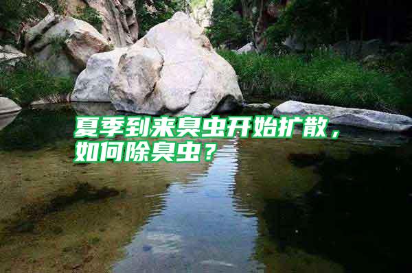 夏季到來臭蟲開始擴散，如何除臭蟲？