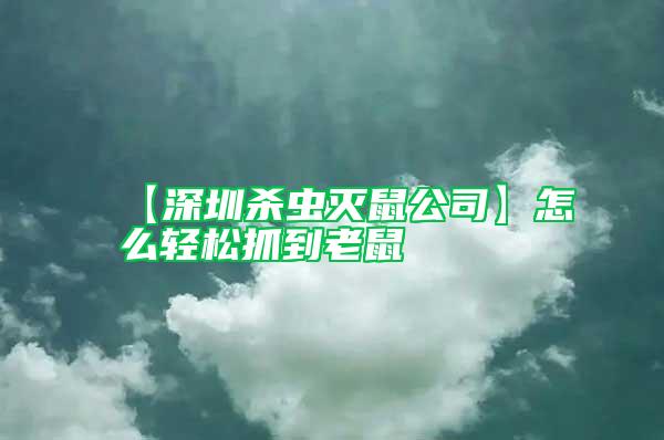 【深圳殺蟲滅鼠公司】怎么輕松抓到老鼠