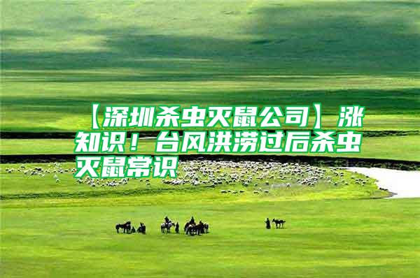 【深圳殺蟲滅鼠公司】漲知識(shí)！臺(tái)風(fēng)洪澇過后殺蟲滅鼠常識(shí)