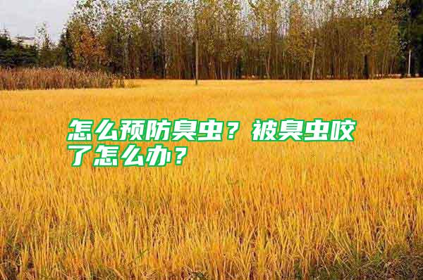 怎么預(yù)防臭蟲？被臭蟲咬了怎么辦？