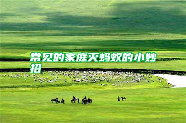 常見(jiàn)的家庭滅螞蟻的小妙招