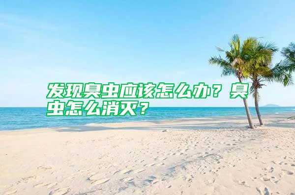 發現臭蟲應該怎么辦？臭蟲怎么消滅？
