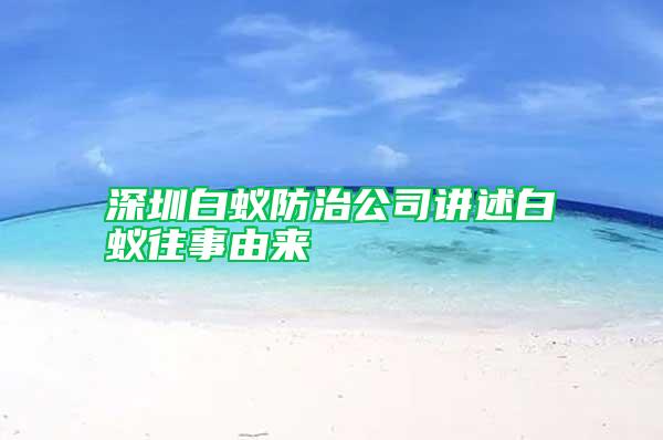 深圳白蟻防治公司講述白蟻往事由來(lái)