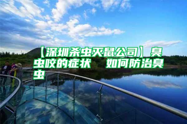 【深圳殺蟲(chóng)滅鼠公司】臭蟲(chóng)咬的癥狀  如何防治臭蟲(chóng)