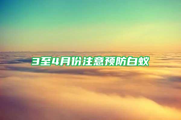 3至4月份注意預防白蟻