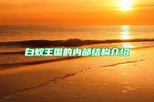 白蟻王國的內部結構介紹