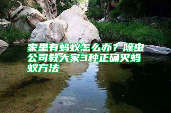 家里有螞蟻怎么辦？除蟲公司教大家3種正確滅螞蟻方法