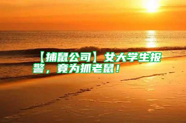 【捕鼠公司】女大學生報警，竟為抓老鼠！