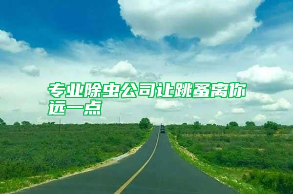 專業(yè)除蟲公司讓跳蚤離你遠(yuǎn)一點