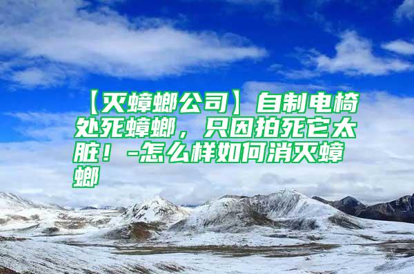 【滅蟑螂公司】自制電椅處死蟑螂，只因拍死它太臟！-怎么樣如何消滅蟑螂