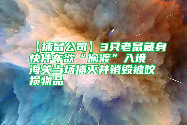 【捕鼠公司】3只老鼠藏身快件車欲“偷渡”入境 海關當場捕滅并銷毀被咬損物品
