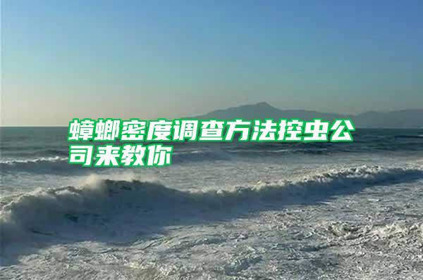蟑螂密度調(diào)查方法控蟲(chóng)公司來(lái)教你