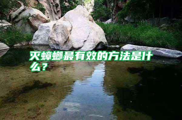 滅蟑螂最有效的方法是什么？