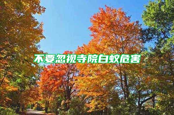 不要忽視寺院白蟻危害