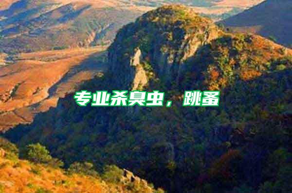 專業(yè)殺臭蟲，跳蚤