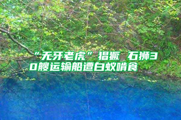 “無牙老虎”猖獗 石獅30艘運(yùn)輸船遭白蟻啃食