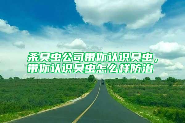 殺臭蟲公司帶你認識臭蟲，帶你認識臭蟲怎么樣防治