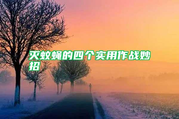 滅蚊蠅的四個實用作戰(zhàn)妙招