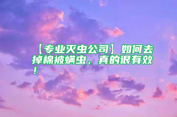 【專業(yè)滅蟲(chóng)公司】如何去掉棉被螨蟲(chóng)，真的很有效！