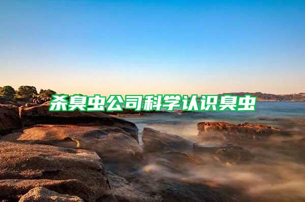 殺臭蟲公司科學認識臭蟲