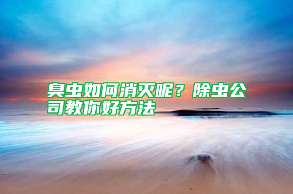 臭蟲如何消滅呢？除蟲公司教你好方法