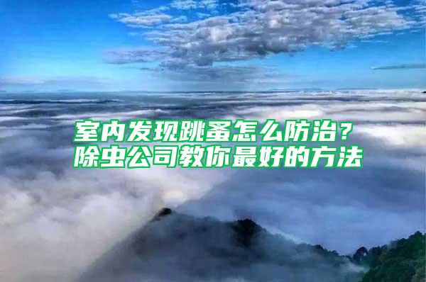 室內(nèi)發(fā)現(xiàn)跳蚤怎么防治？除蟲公司教你最好的方法