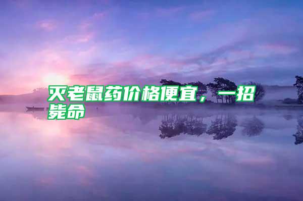 滅老鼠藥價(jià)格便宜，一招斃命