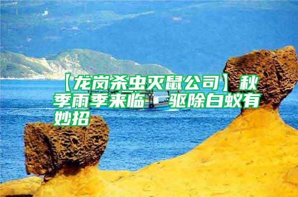 【龍崗殺蟲(chóng)滅鼠公司】秋季雨季來(lái)臨  驅(qū)除白蟻有妙招