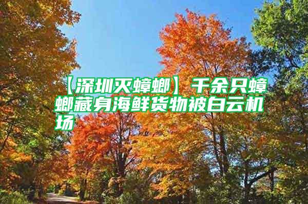 【深圳滅蟑螂】千余只蟑螂藏身海鮮貨物被白云機(jī)場