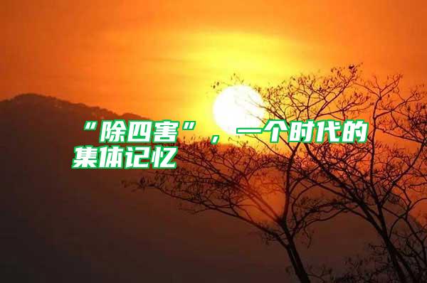 “除四害”，一個時代的集體記憶