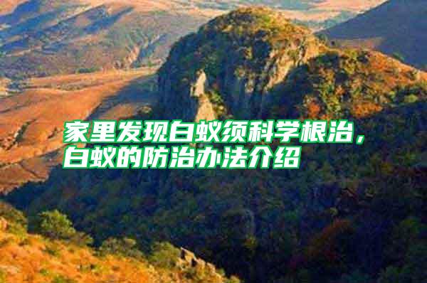 家里發(fā)現(xiàn)白蟻?lái)毧茖W(xué)根治，白蟻的防治辦法介紹