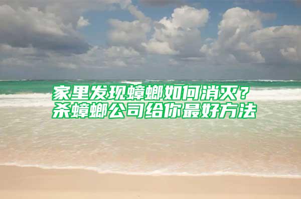 家里發(fā)現(xiàn)蟑螂如何消滅？殺蟑螂公司給你最好方法
