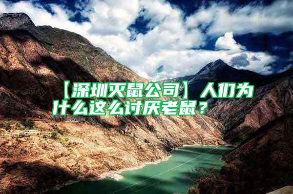 【深圳滅鼠公司】人們為什么這么討厭老鼠？