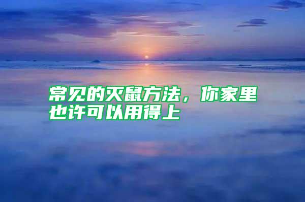 常見的滅鼠方法，你家里也許可以用得上