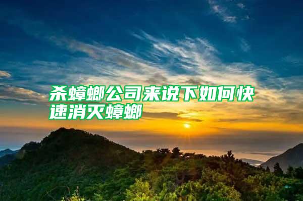 殺蟑螂公司來(lái)說(shuō)下如何快速消滅蟑螂