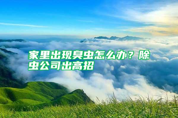 家里出現(xiàn)臭蟲(chóng)怎么辦？除蟲(chóng)公司出高招