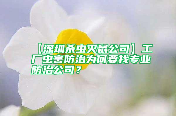 【深圳殺蟲滅鼠公司】工廠蟲害防治為何要找專業防治公司？
