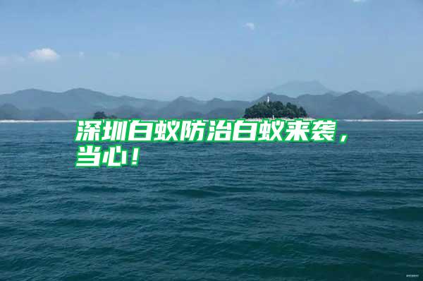 深圳白蟻防治白蟻來襲，當心！